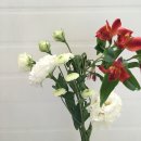 GD동물병원 이미지