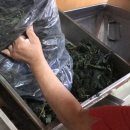 홍성떡방앗간 이미지