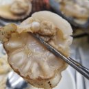 백합네거리(농협) | 대전 조개구이 맛집 갈마동 &#39;푸짐한 조개찜&#39; 내돈내산 여러 번 방문한 찐후기