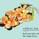 오블리에 이미지