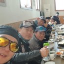 피닉스클럽 이미지