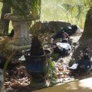 기러기민박 이미지