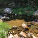 백낙제 플랫하우스 이미지