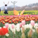 성실 태권도 이미지