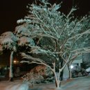 장안면사무소 이미지