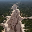 “이미 15% 사라진 아마존 밀림, 30년 안에 급격히 파괴될 수도” 이미지
