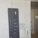 로그 : 임신 28주차, 리베르리움 산후조리원 연계 베이비파스텔 용인 경기 본점, 🤰🏻만삭사진 촬영 후기 📸