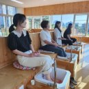 인삼문화센터 이미지