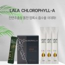 라라A 네이버블로그