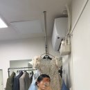 [더브라이드 스튜디오] 토탈 웨딩촬영 신부 헤어 2탄 💇‍♀️ 트렌디한 가시번 후기
