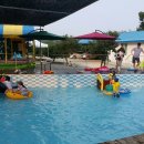 너울가지 이미지