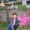안명문구