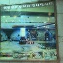 태백농협하나로마트 장성점 | 임성희 힐링테라피 – 동작구 장승배기 전신 스포츠마사지 &amp; 체형관리