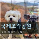 강아지 마을 | 김포 조각공원 강아지 산책 ft.애견동반 여행