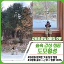 도모 | 도모횡성 아이랑 겨울캠 솔직 후기｜숲속 감성 가득한 캠핑장