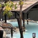 꽃꽂이(야) | 다카유 온천 료칸 야스다야 숙박 추천 후기