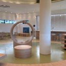 개들랜드 이미지