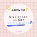 영진카인테리어 | 2025 국내 여름휴가 숙소 TOP 5🔥 바다 보이는 뷰맛집 모음!