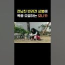 전남친 반려견과 3년 만의 재회에 오열하는 모니카 이미지