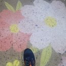 (주)우주텍 | <닥솔 X 파.러.클 인솔 체험 후기>