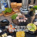 제주진도 | 애월 흑돼지 대담 - BTS 진도 방문한 제주흑돼지 맛집 재방문 후기