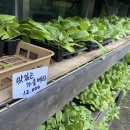 대명농자재 이미지