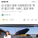 日 오염수 방류 자료화면으로 ‘죽은 물고기떼’…MBC, 법정 제재 이미지