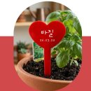 대일건축