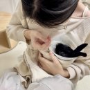 수완종합동물병원 이미지