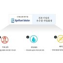 에스에스 이미지