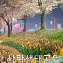 낙동제방길-1 이미지