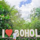 방카센타 | 필리핀 보홀 여행 1월 일정 후기 호핑 초콜릿힐 반딧불 투어