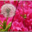 바람고갯길 이미지