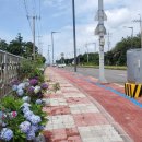 표선씨티공인중개사사무소 이미지