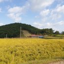 웅도민박 이미지