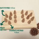나무공들임