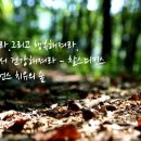화랑 태권도 이미지