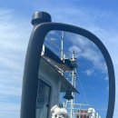 라움펫살롱 이미지