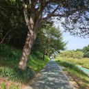 한산4교 이미지