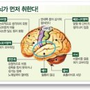 블랙아웃 현상, 아시나요? 음주의 위험성 이미지