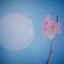 젠(ZEN) 이미지
