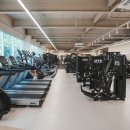 데일리핏 이미지