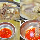 장수버섯 이미지