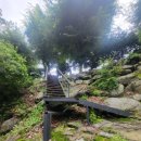 리즈밸리 이미지