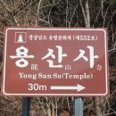 진주 용산리 용산사 대웅전 Daum카페