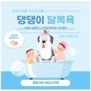 댕겨올개 이미지