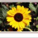 (주)항도건설 이미지