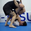 노기글로벌