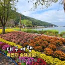 풍경공원 화장실 | 대구 옥연지 송해공원 국화꽃 핀 가을풍경 | 백세정과 송해교 산책