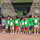 영천솔롱고글램핑 이미지